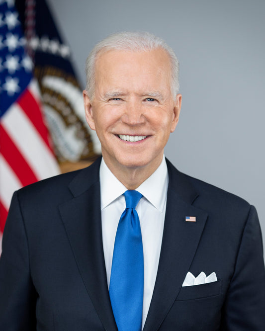 Joe Biden Portrait